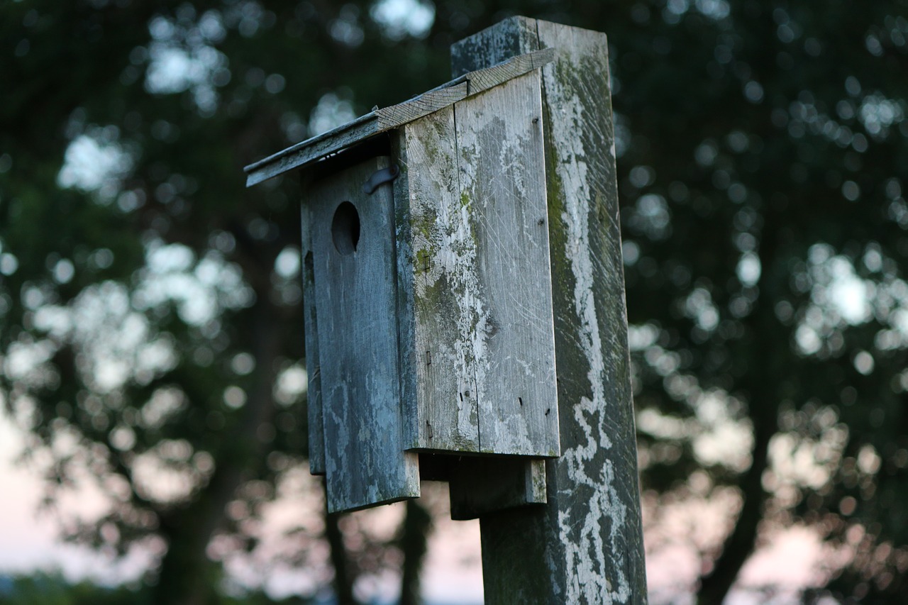 Image - birdhouse vintage nature bird