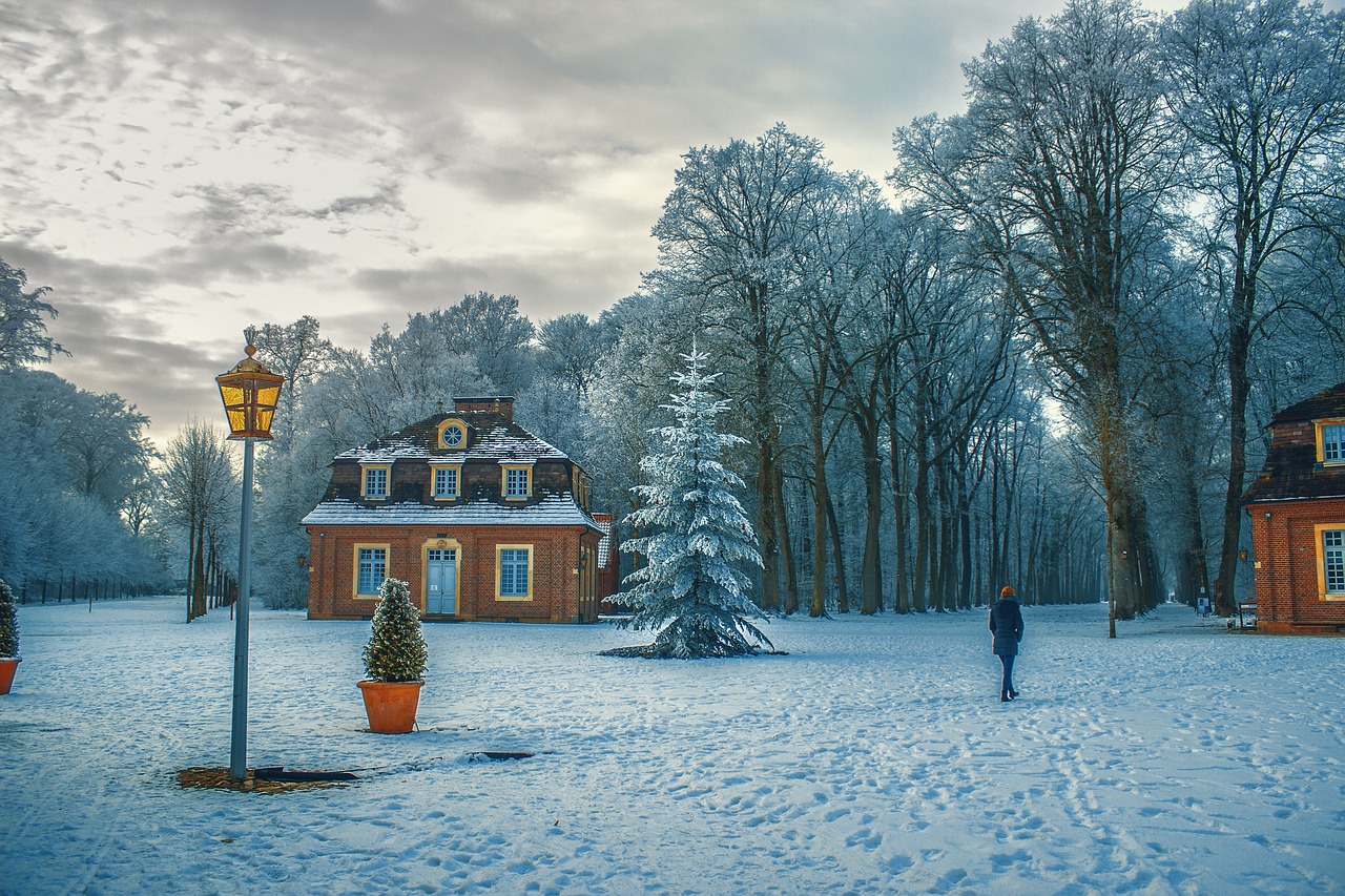 Image - trees plant house snow winter ice