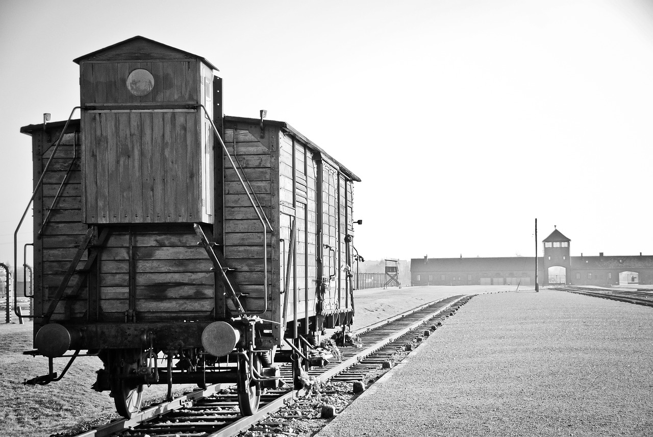 Image - auschwitz birkenau war holocaust