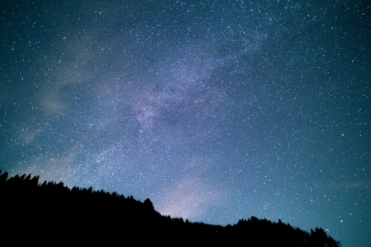 Image - night sky stars galaxies trees