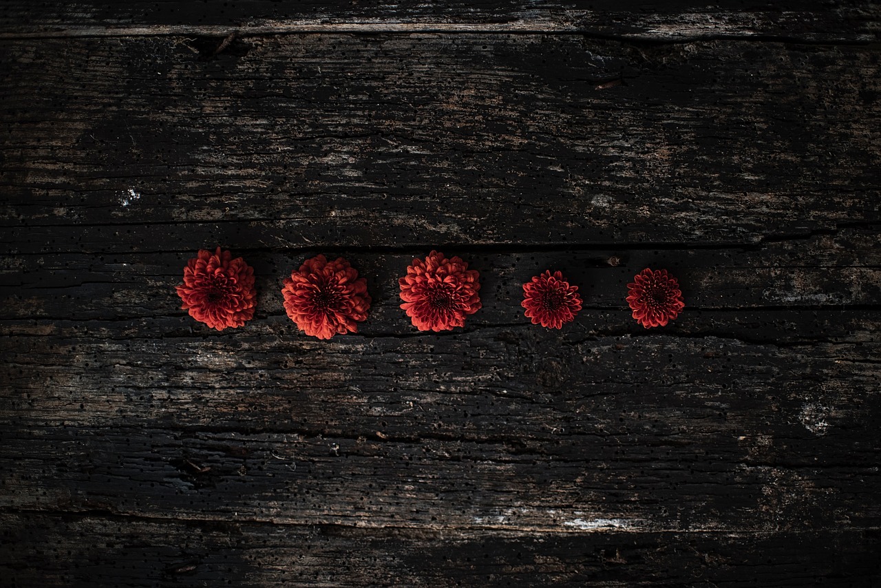 Image - flower petals wooden table