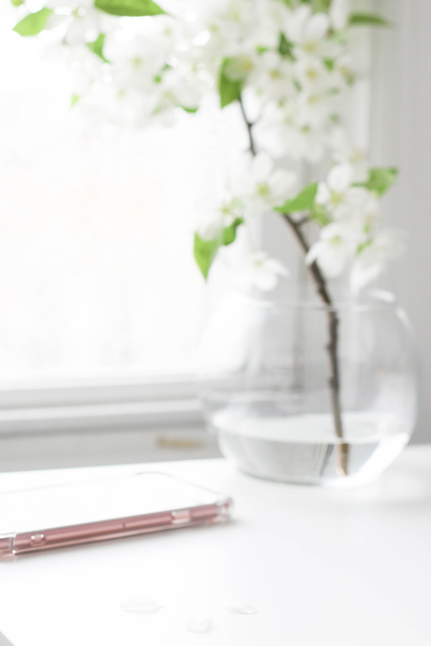 Image - indoor interior plant flower vase