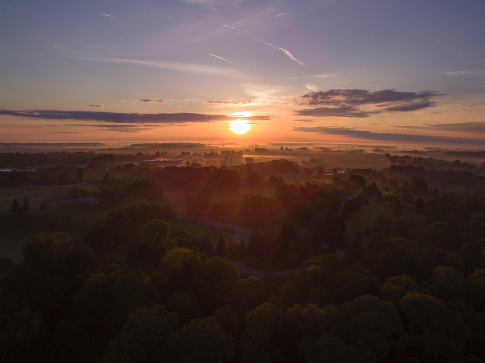 Image - green trees plants nature aerial