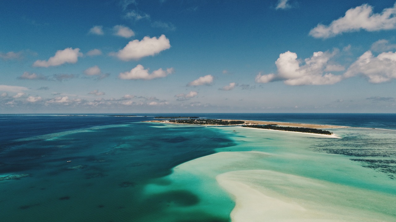 Image - sea ocean blue water waves nature