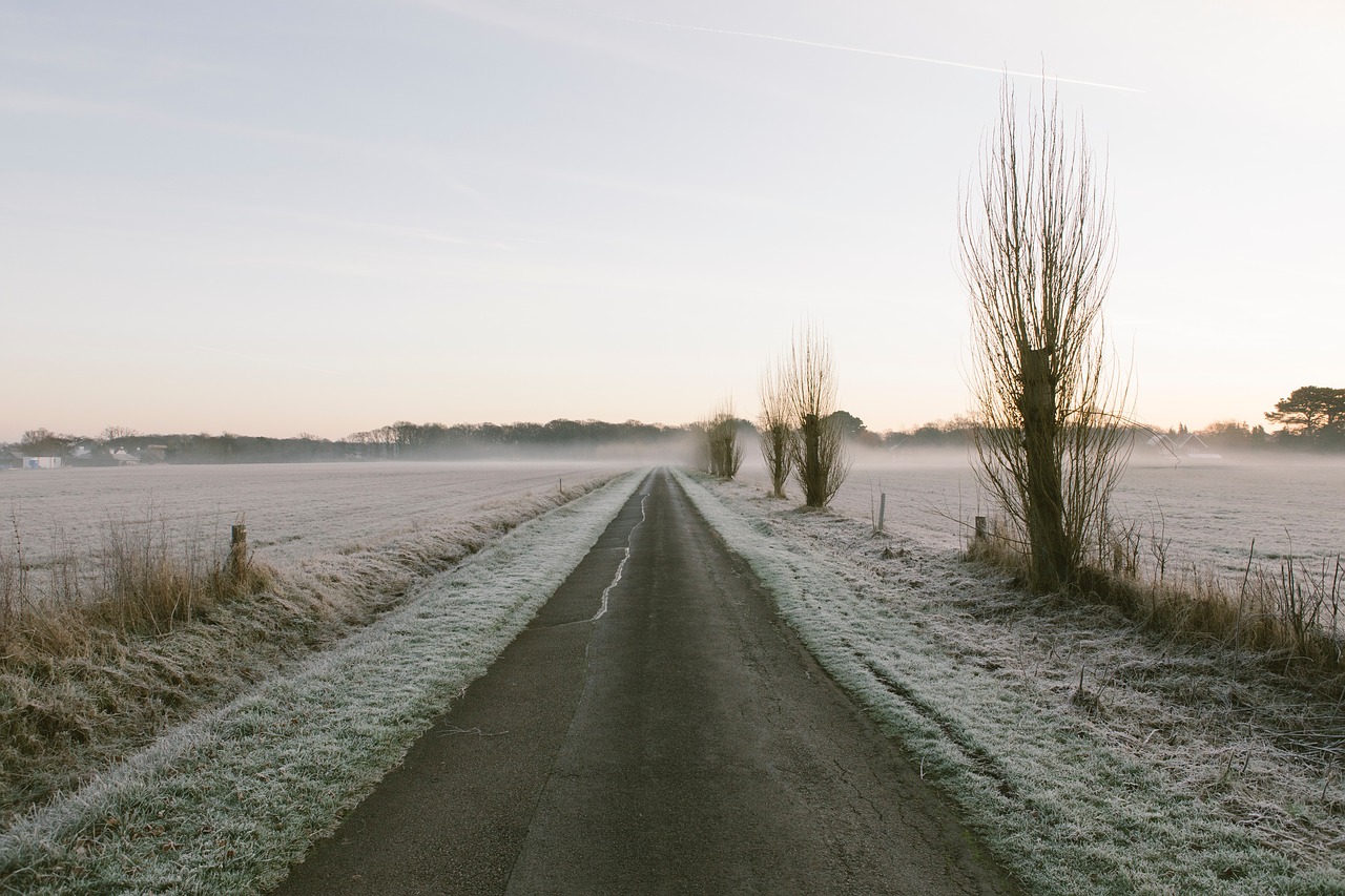 Image - road path grass field mountain