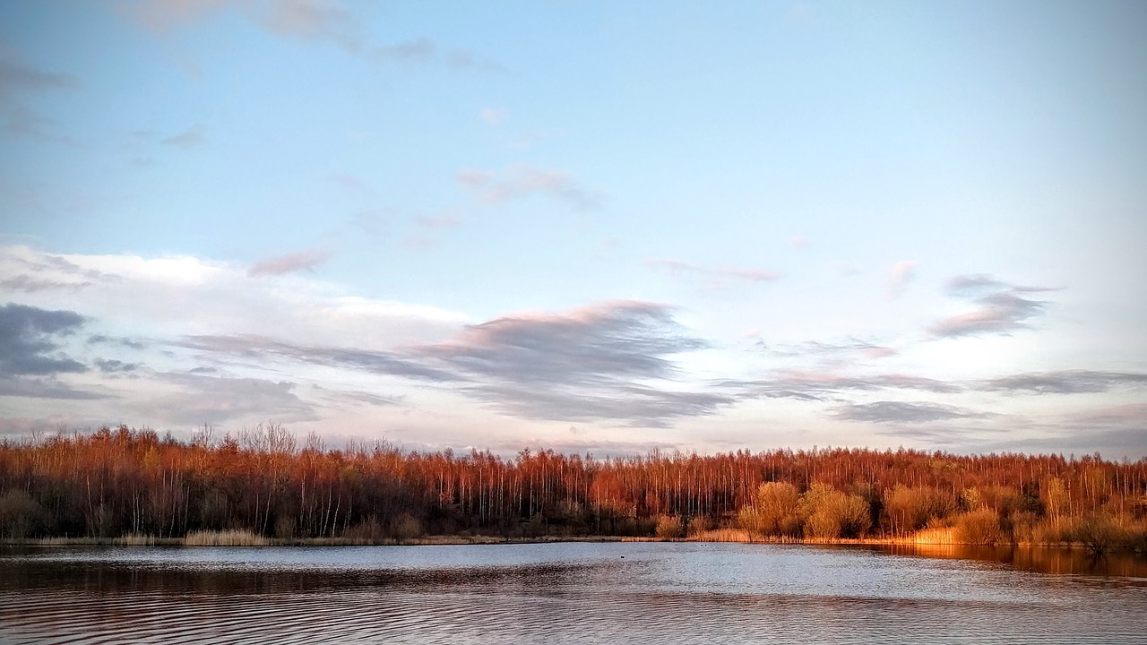 Image - lake water nature trees plant