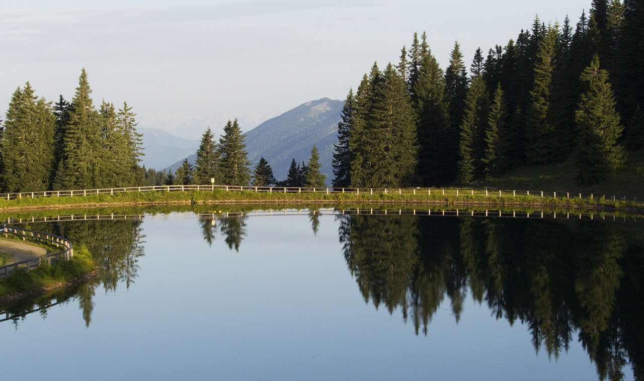 Image - hochkar lake pine water landscape