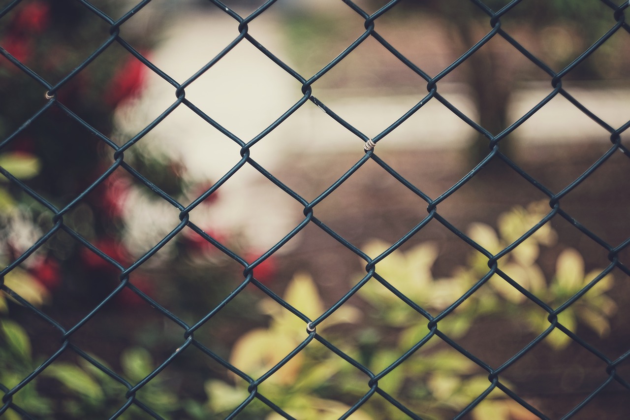 Image - fence wire garden nature blur