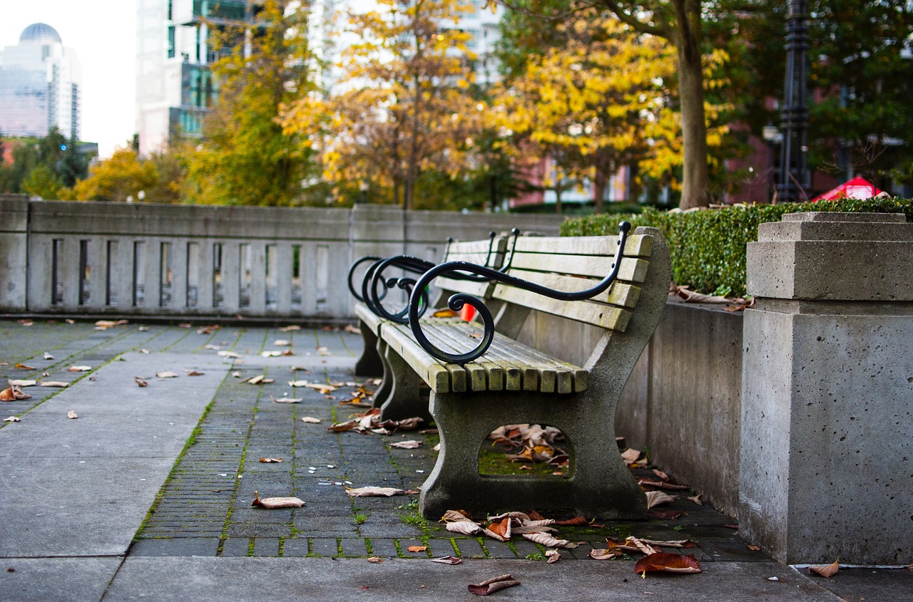 Image - park plaza bench leaf fall autumn