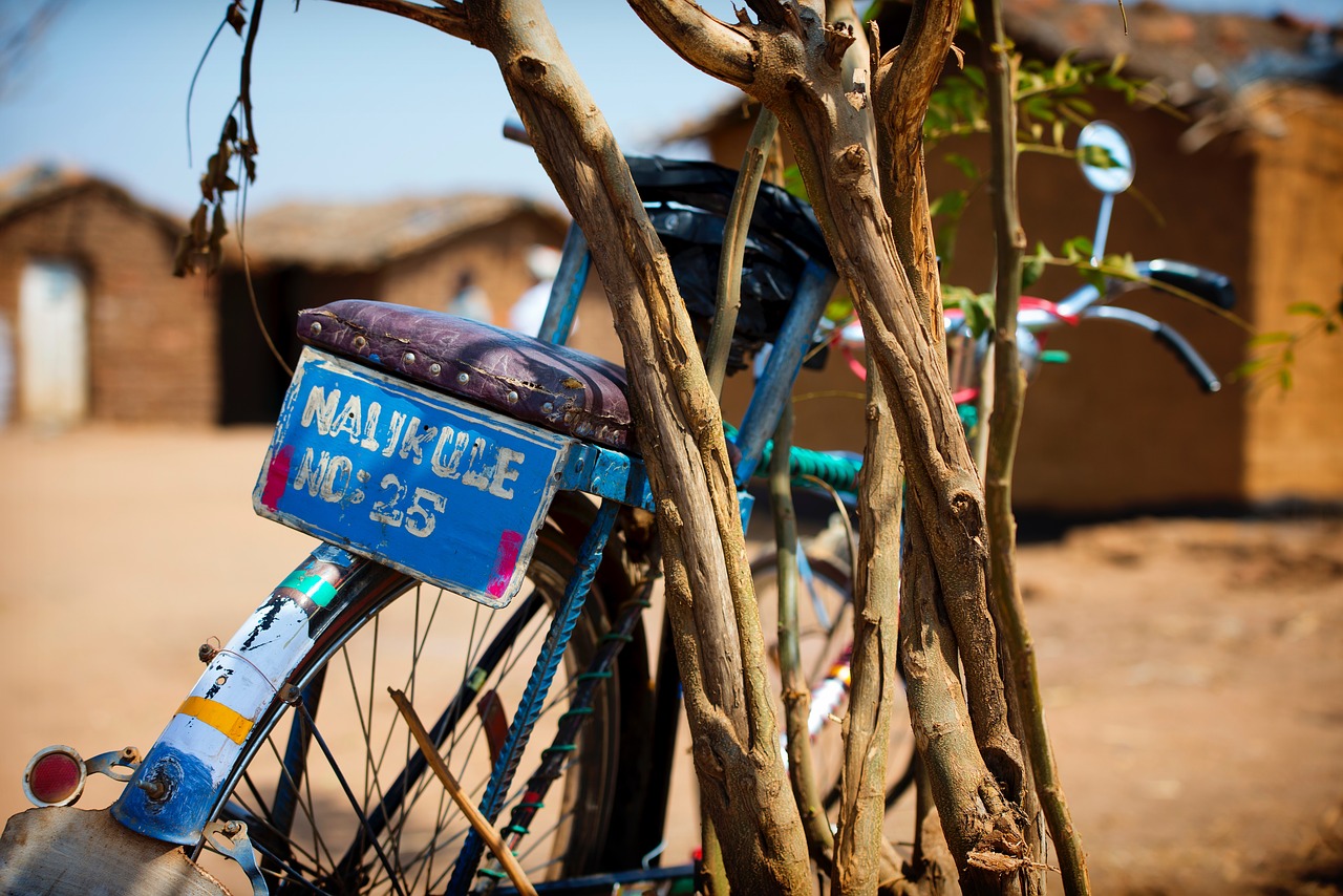 Image - tree plant nature bike bicycle