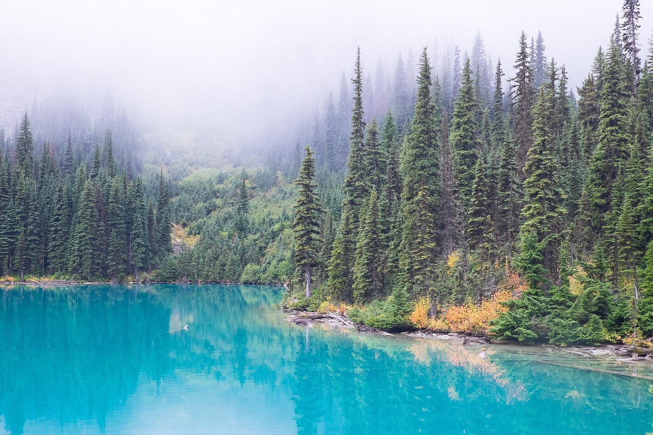 Image - lake blue water green trees plant