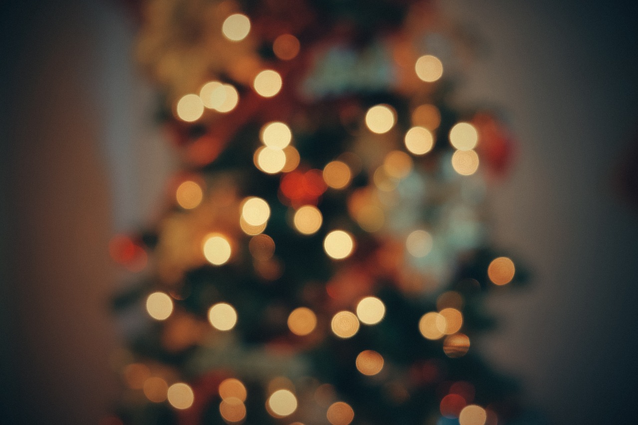 Image - christmas tree bokeh colorful xmas