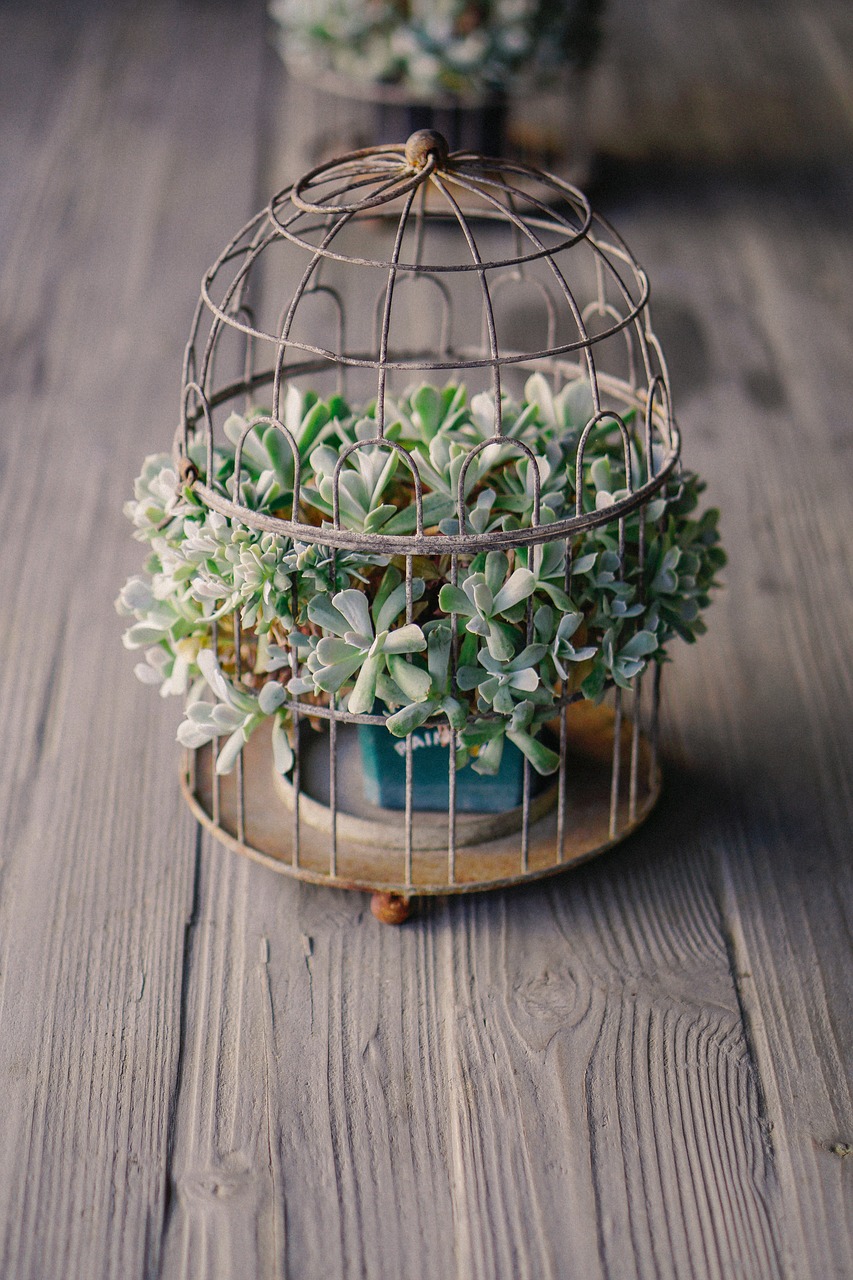Image - wooden table green plant nature