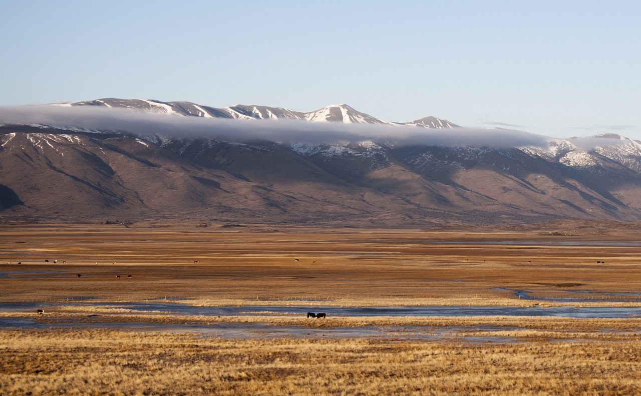 Image - field nature landscape calafate