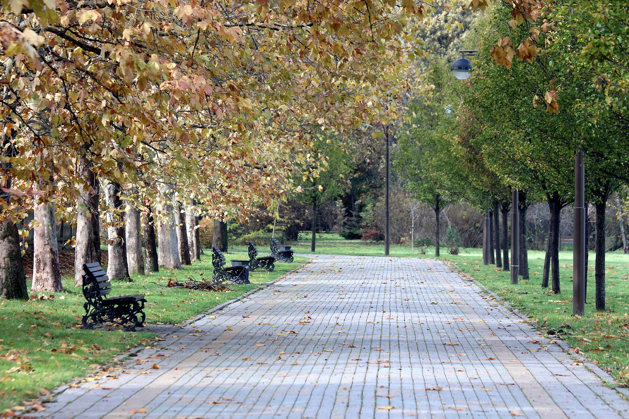 Image - park autumn golden autumn leaves