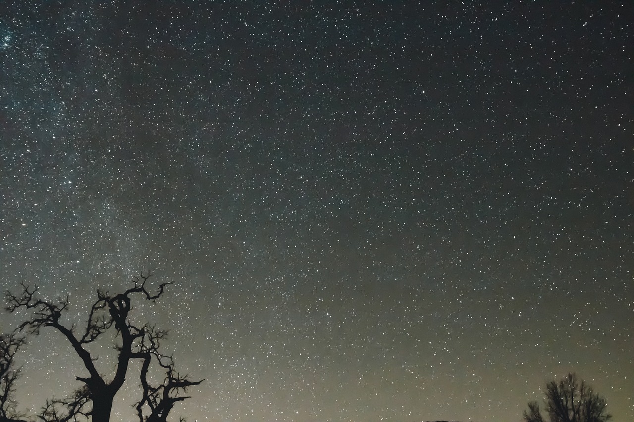 Image - night sky stars galaxies trees