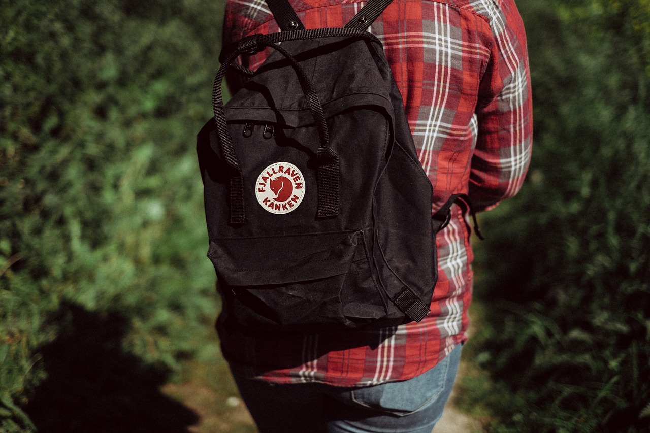 Image - bag backpack travel outdoor