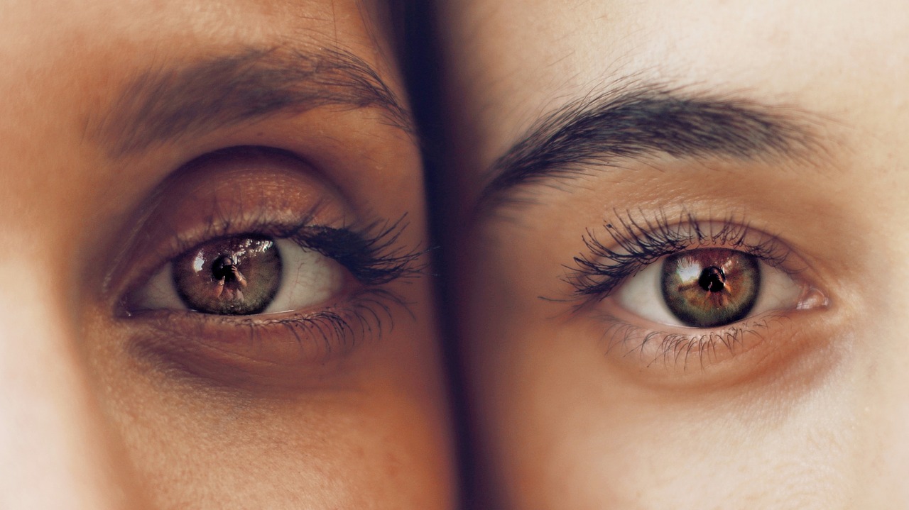 Image - eyes eyelashes eyelid eyebrows