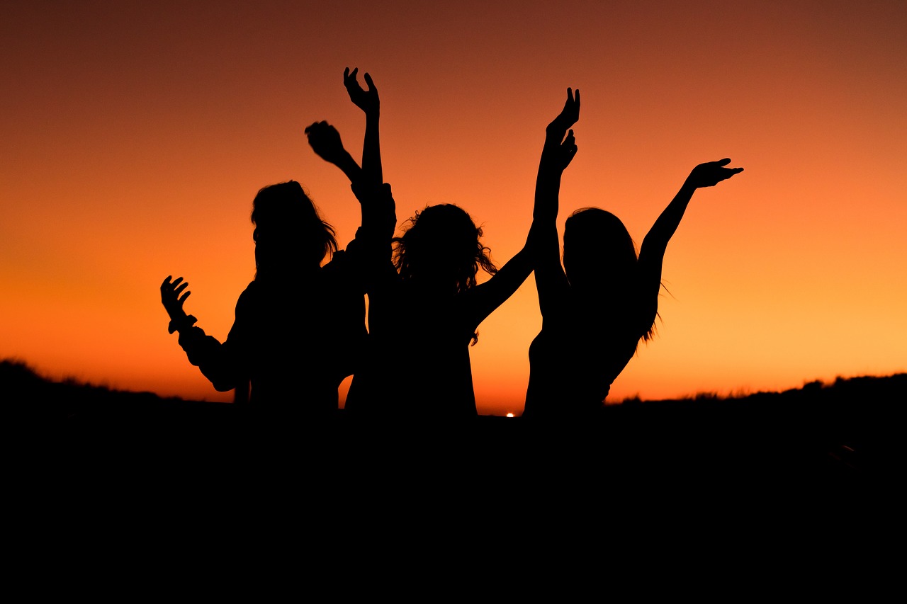 Image - orange sky sunset silhouette