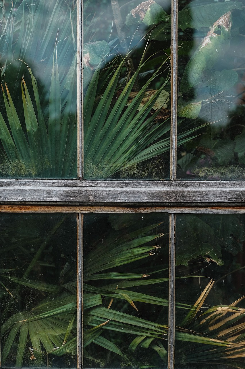 Image - window shield glass green plants