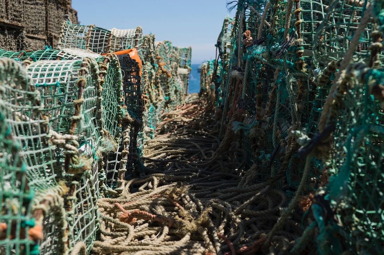 Image - fishing net rope sea sunny