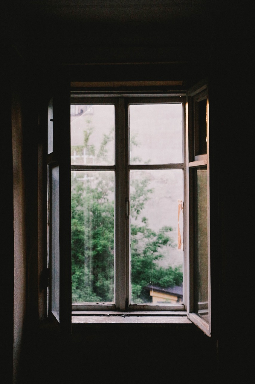 Image - dark window shield