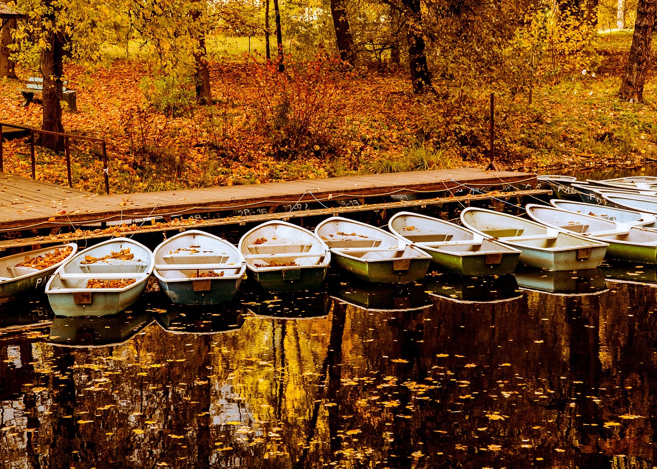 Image - boat water reflection leaf fall