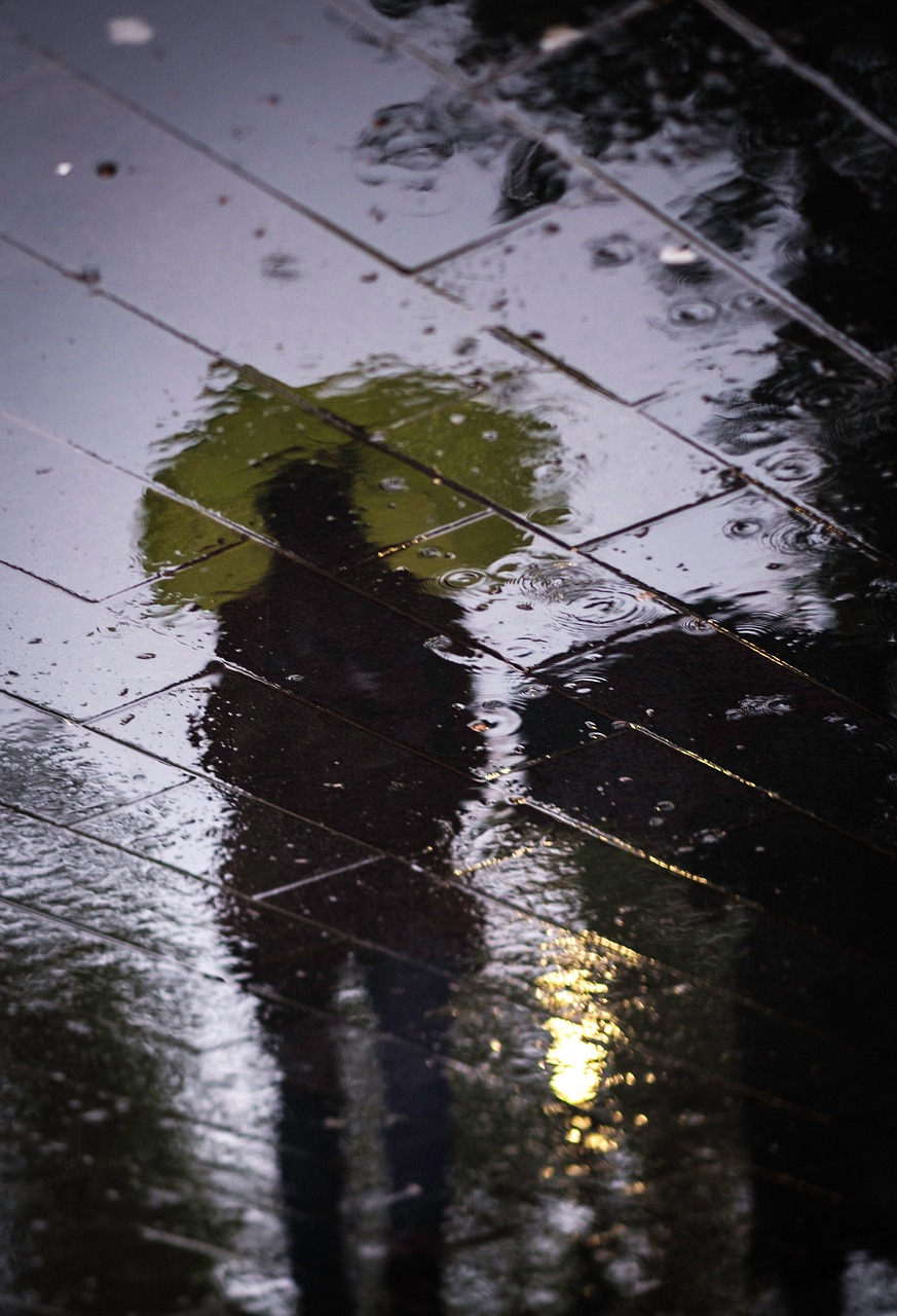 Image - road street wet water rain shadow