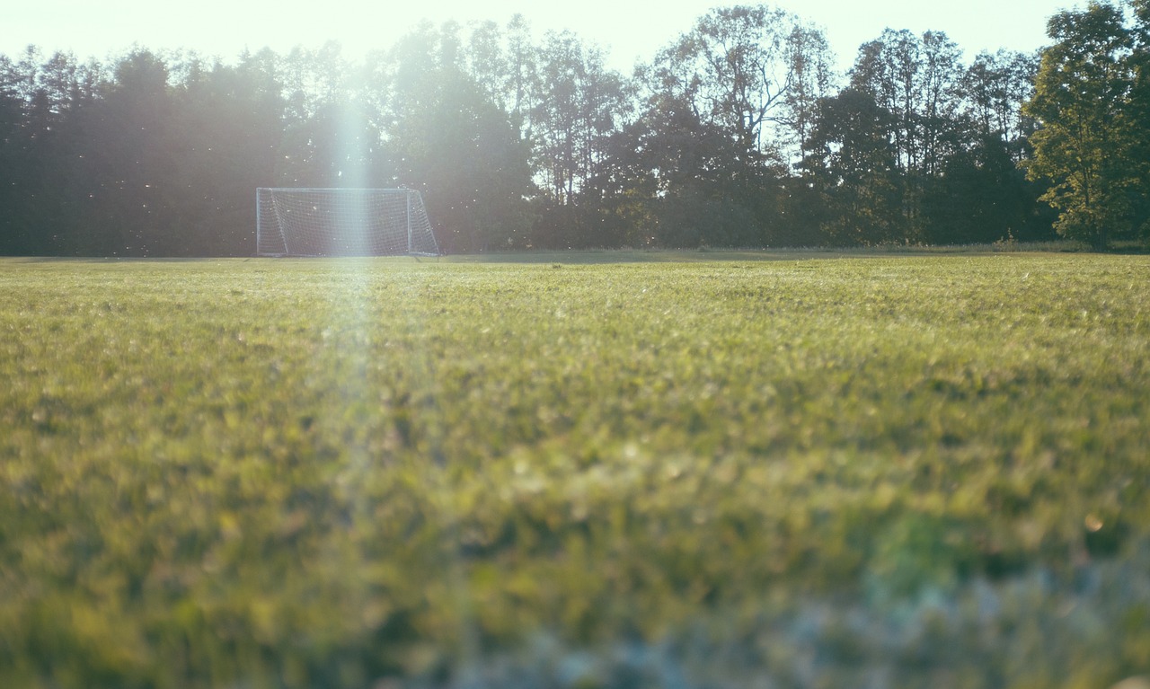 Image - green football field sunrise