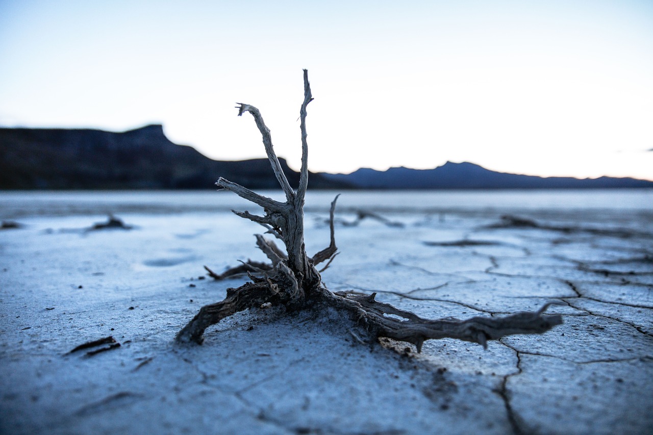 Image - land soil dry mountain wood