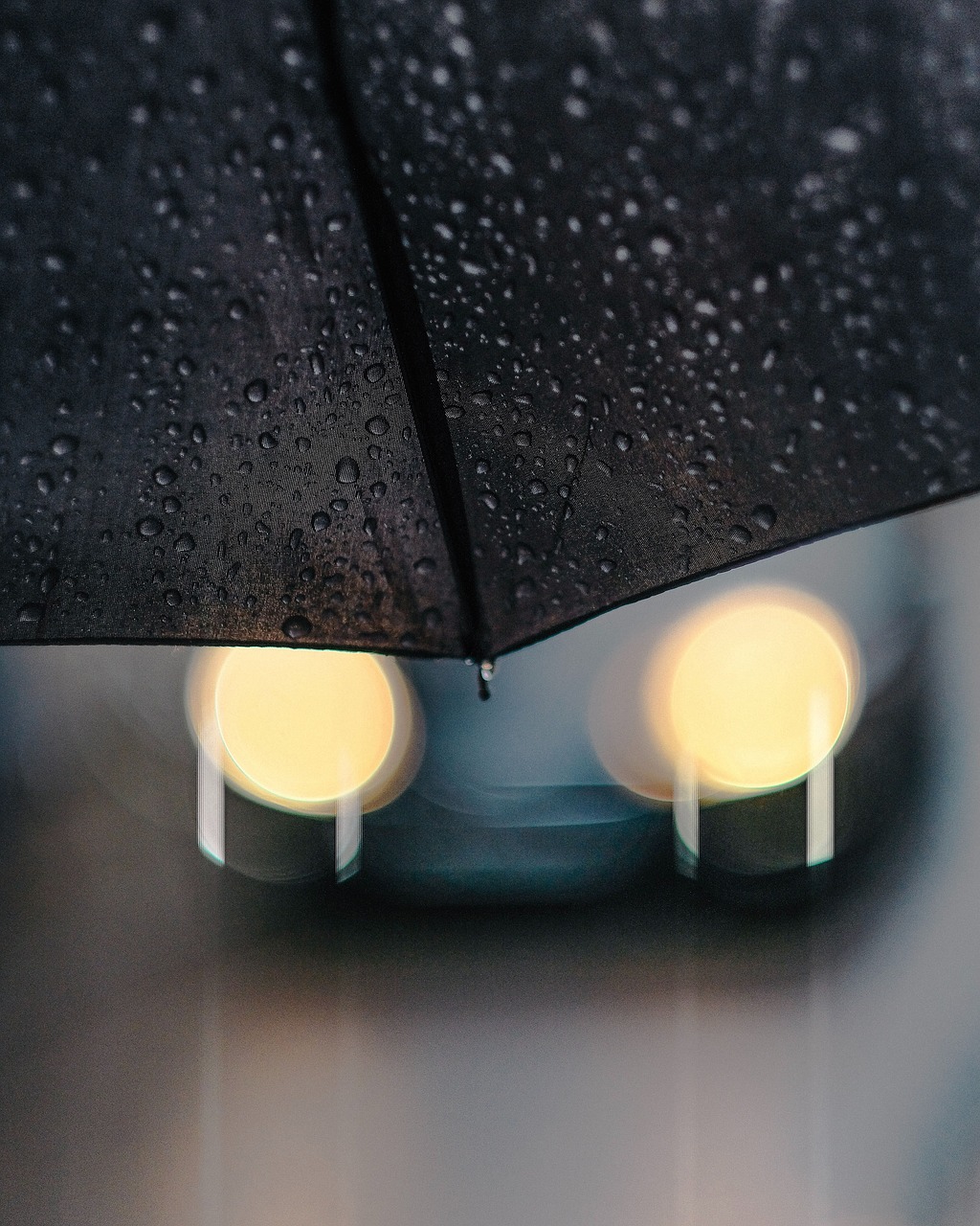 Image - black umbrella water drops raining