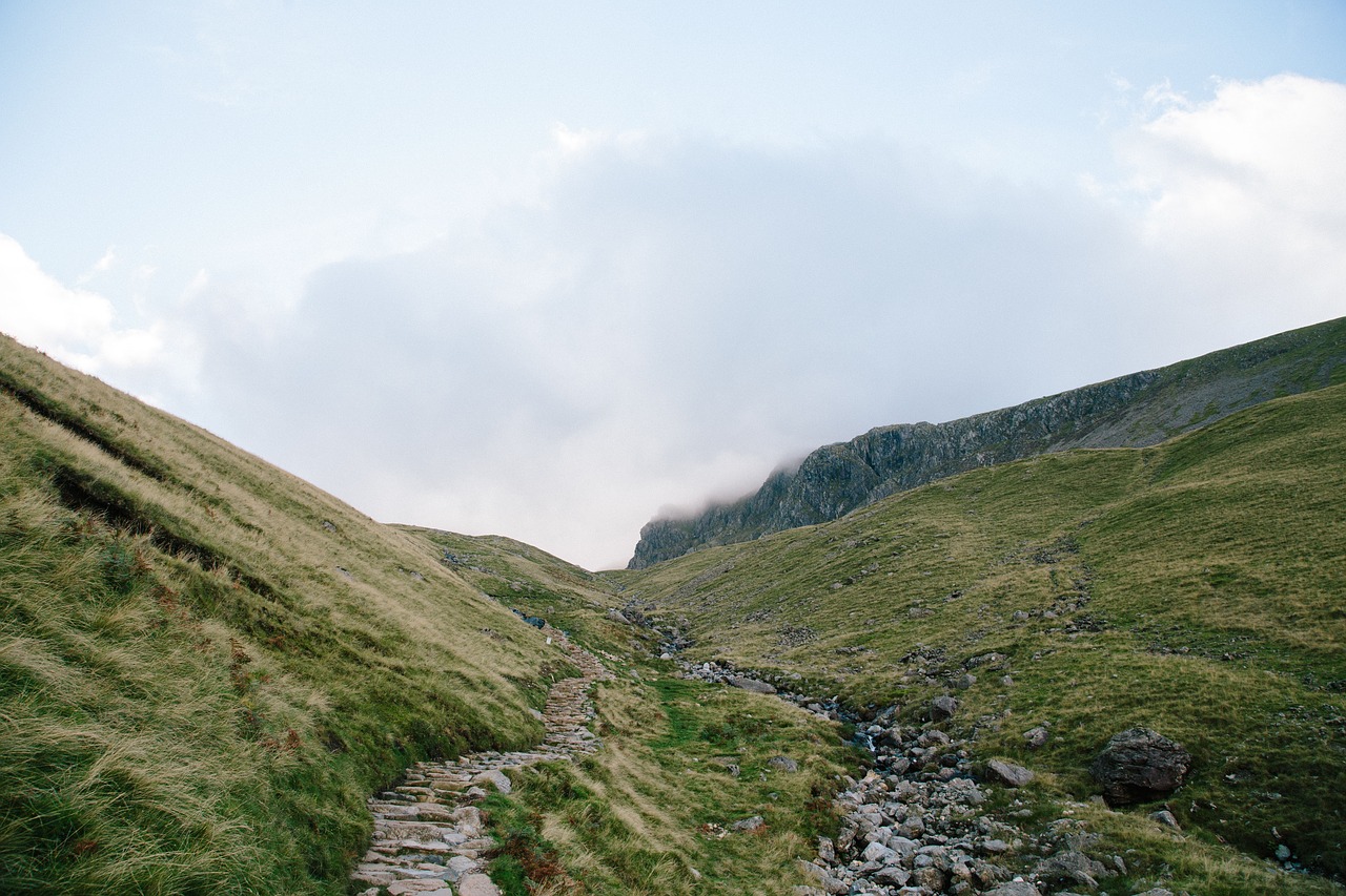 Image - green grass highland mountain