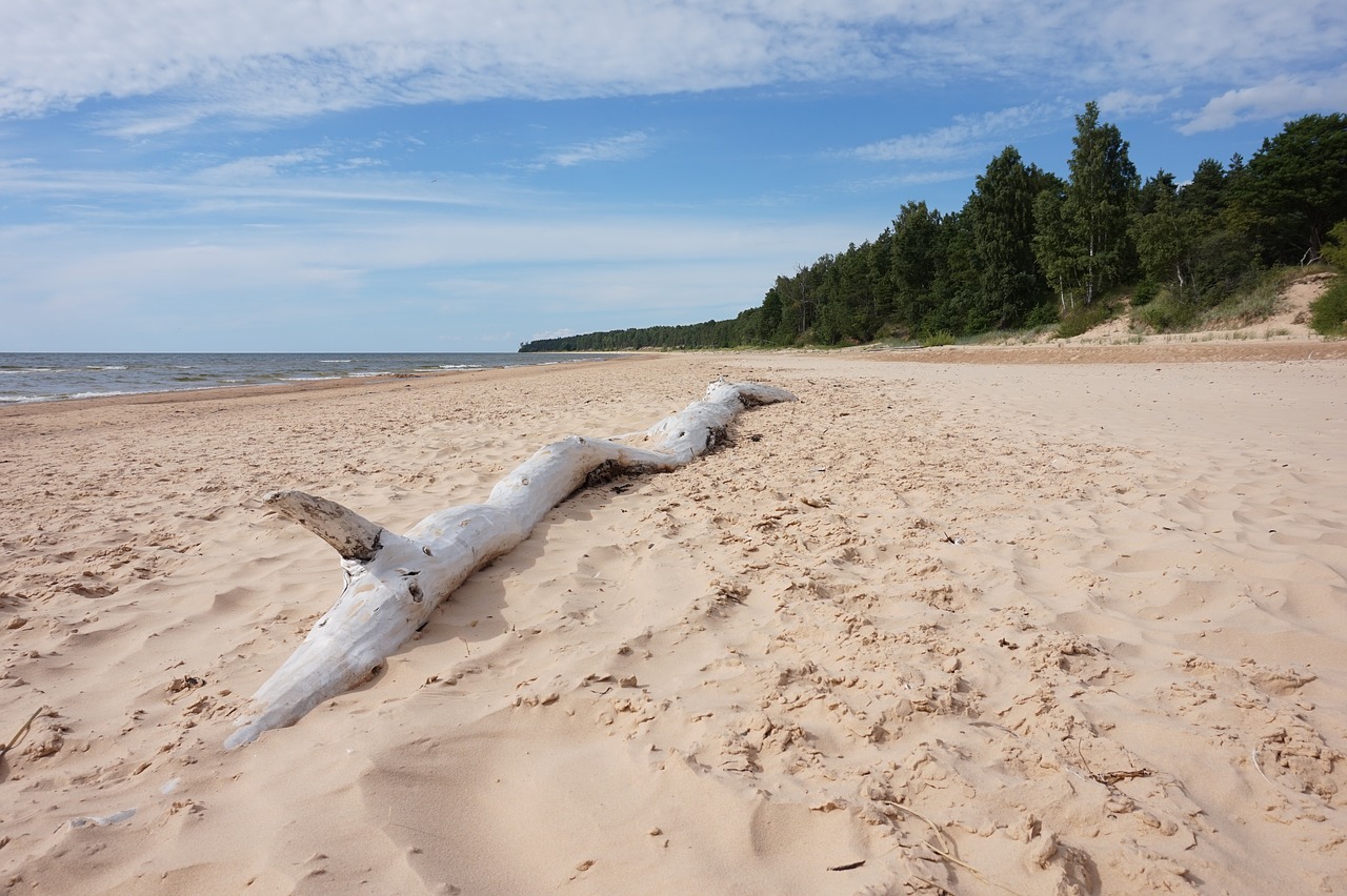 Image - baltic sea sea latvia baltic beach