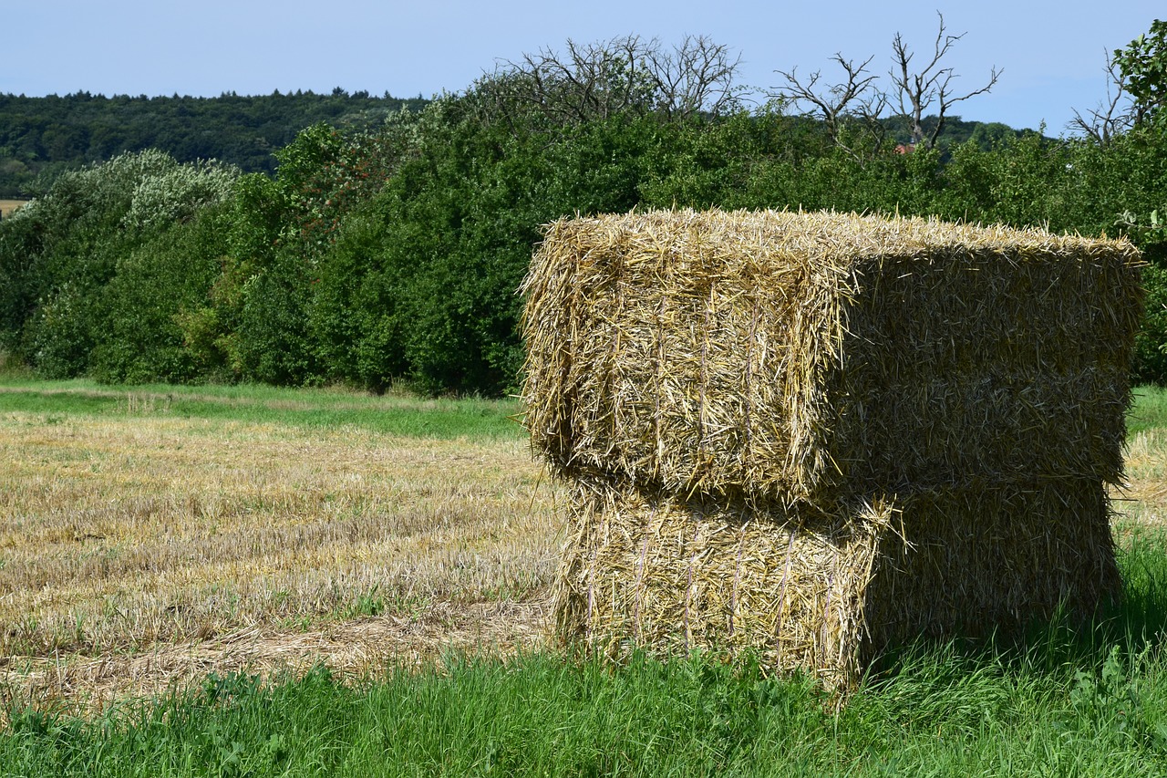 Image - harvest straw harvested agriculture