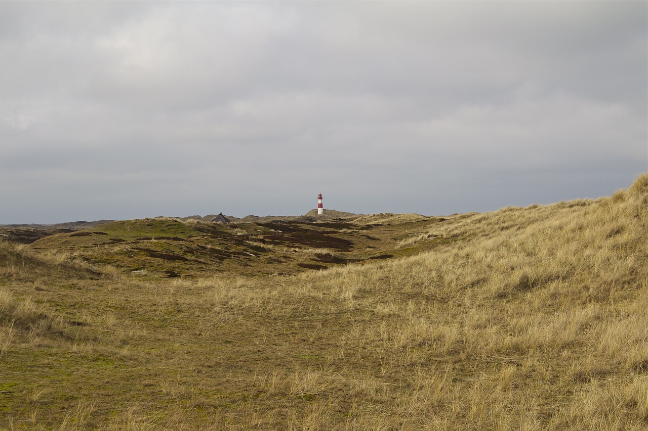 Image - sylt elbow north sea dune