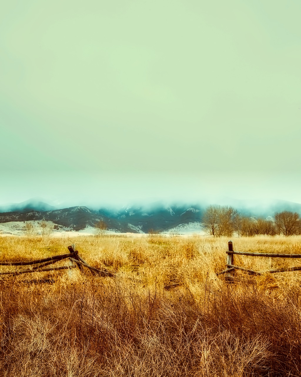 Image - fence plants nature outdoors fog