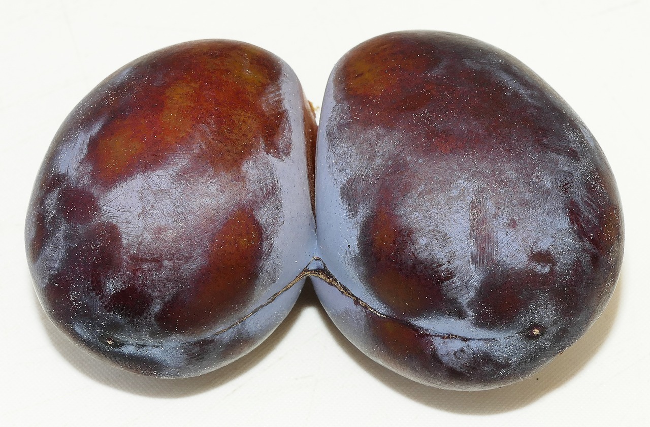 Image - plum twin twin plum strange fruit