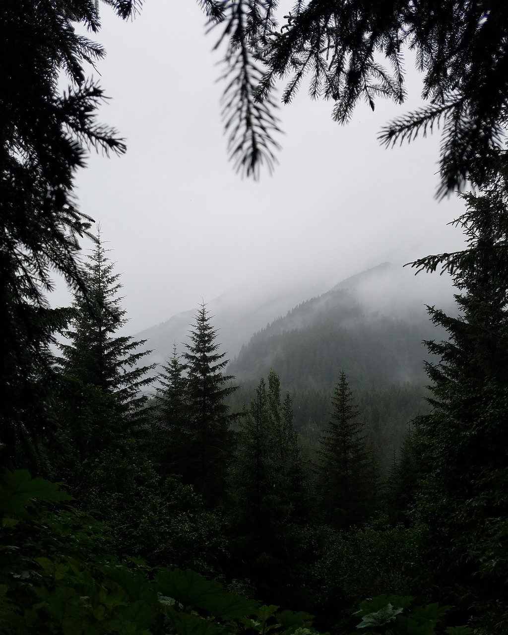 Image - mountain highland landscape nature