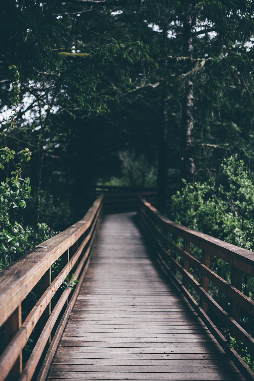 Image - wooden hanging bridge outdoor