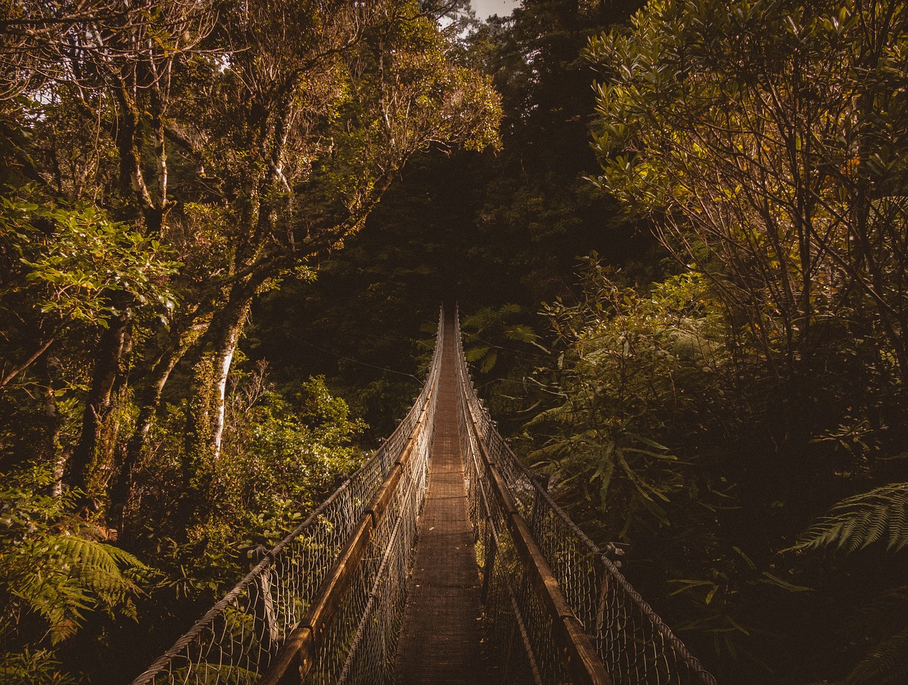 Image - hanging bridge outdoor travel