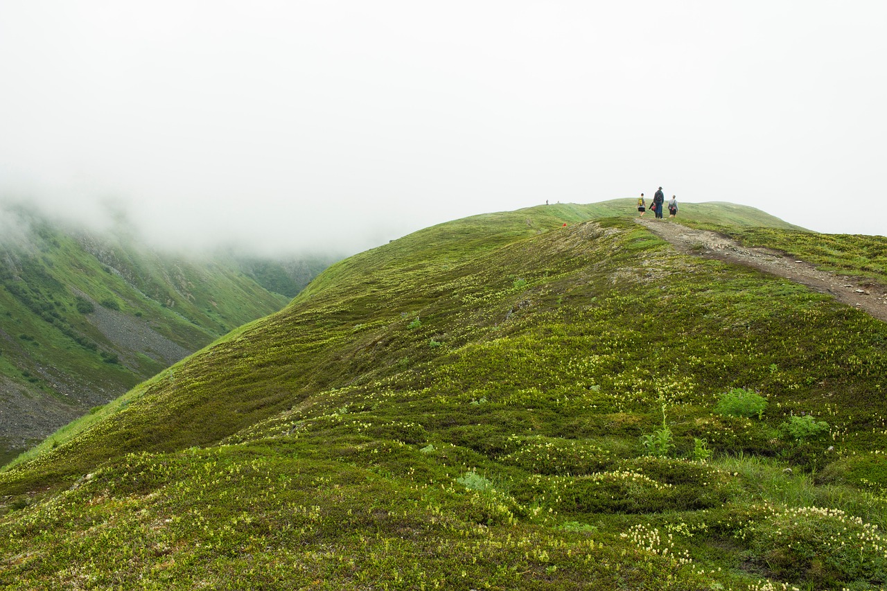 Image - green grass highland landscape