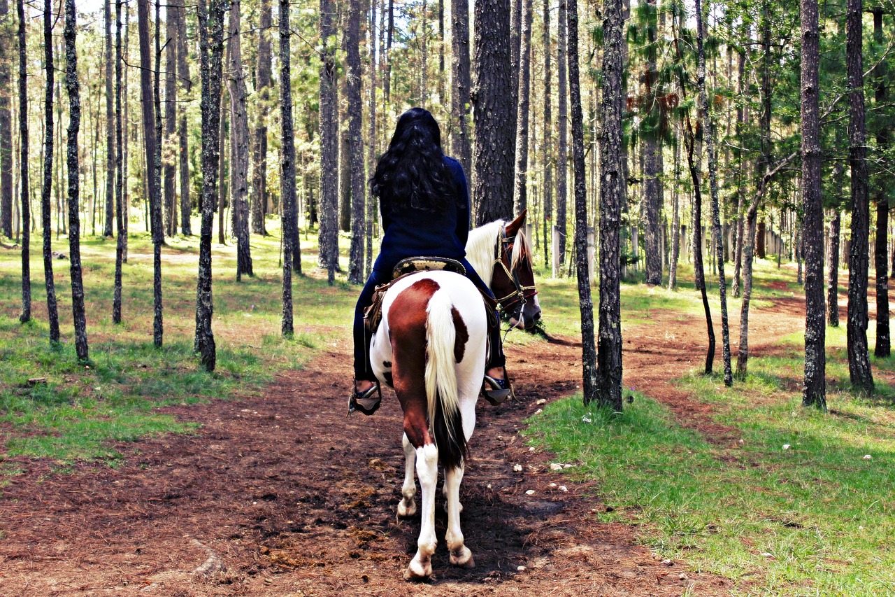 Image - nature horse women landscape