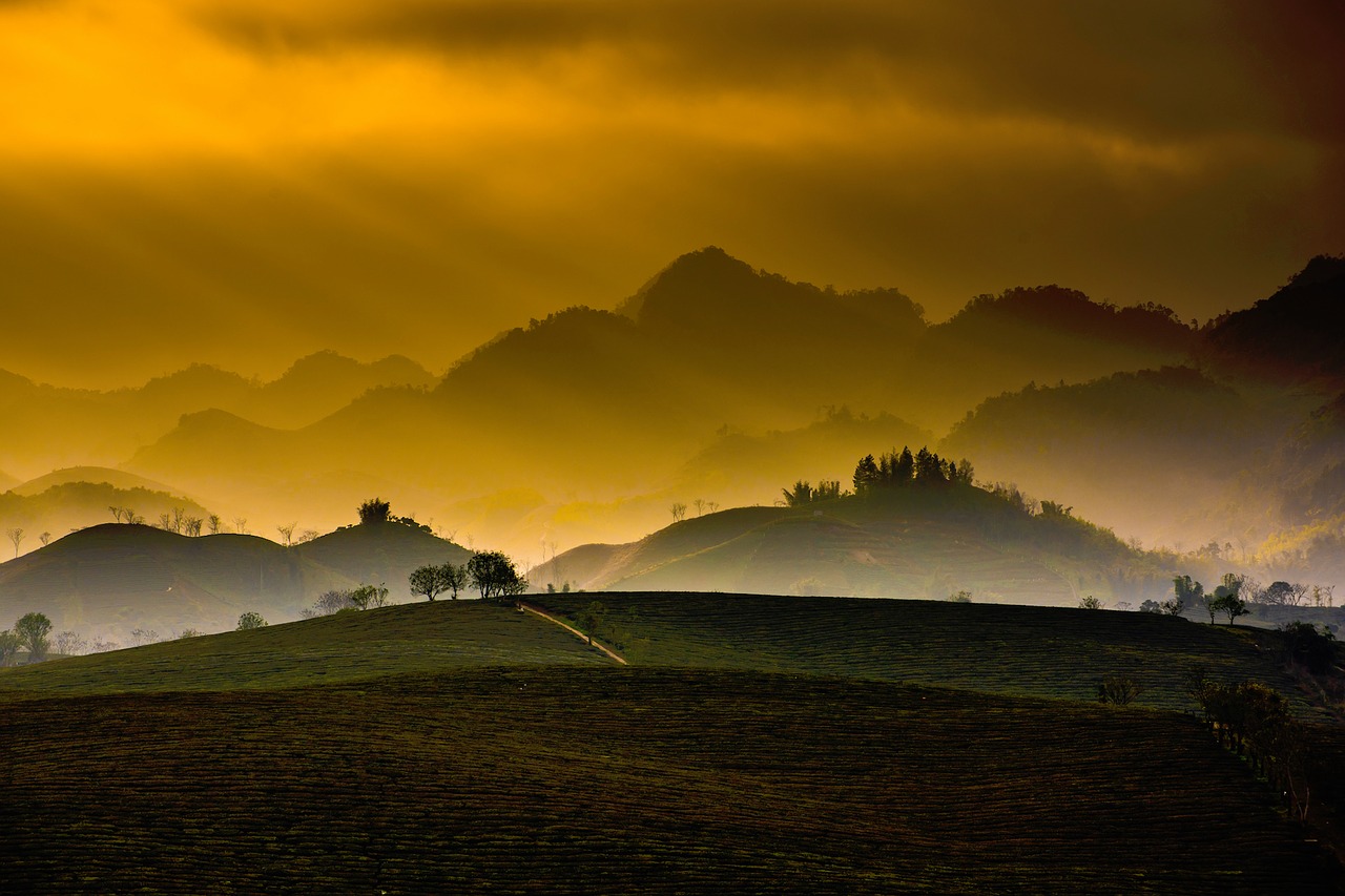 Image - nature mountains trees grass