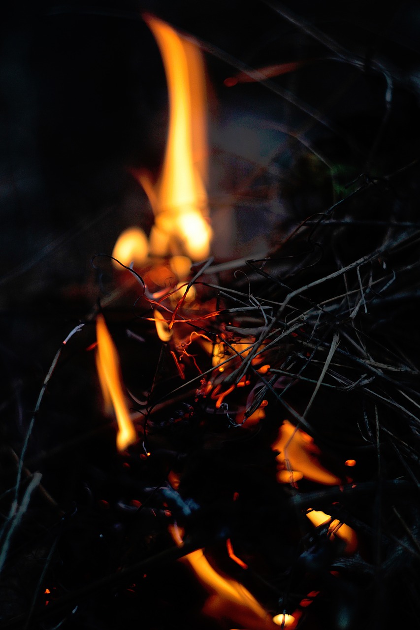 Image - fire twigs bonfire black orange