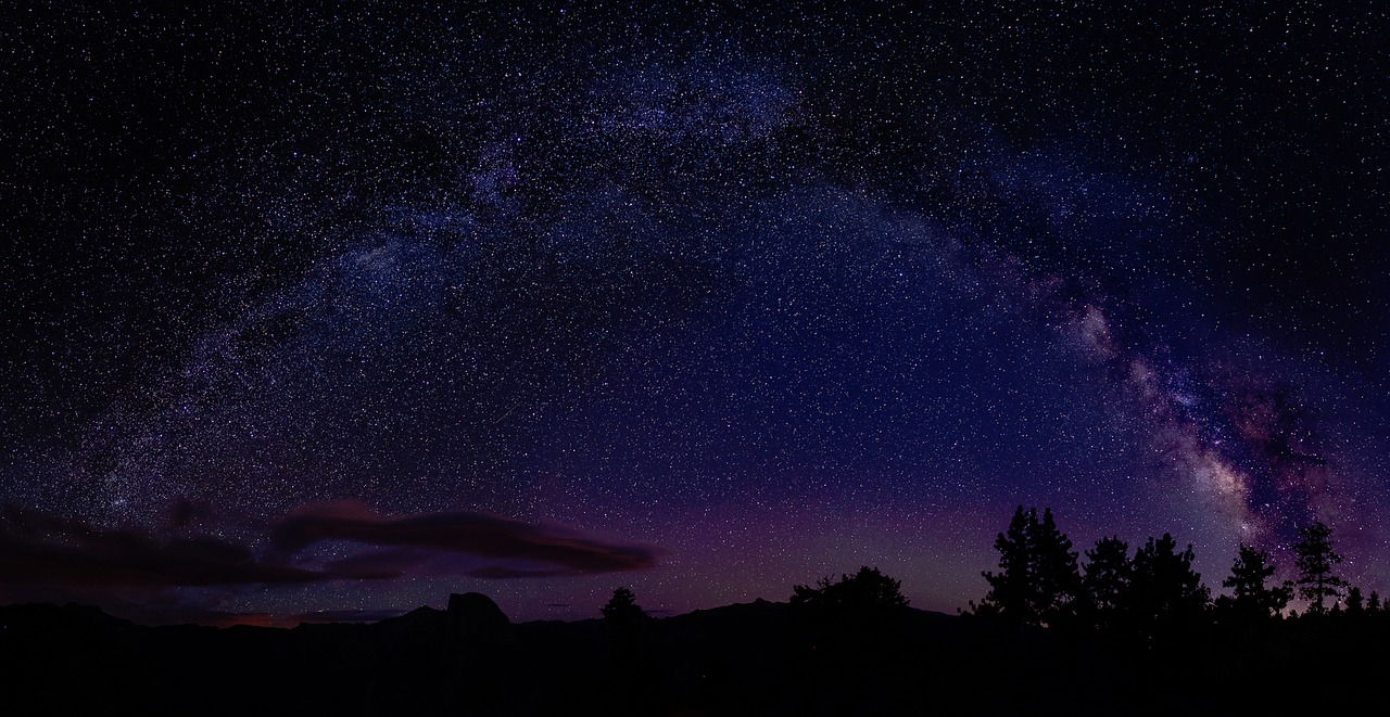 Image - nature trees silhouette night sky