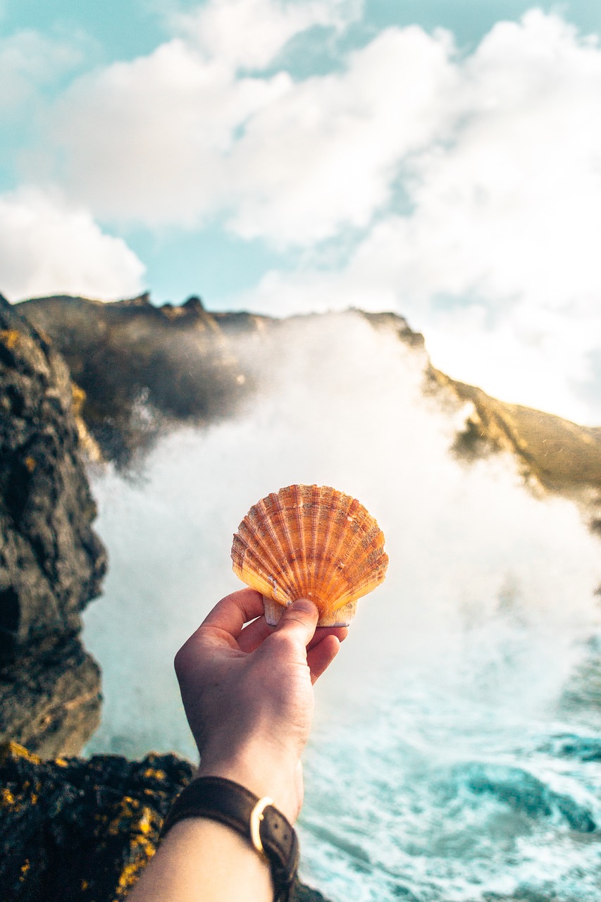 Image - clam shell hand arm watch sea