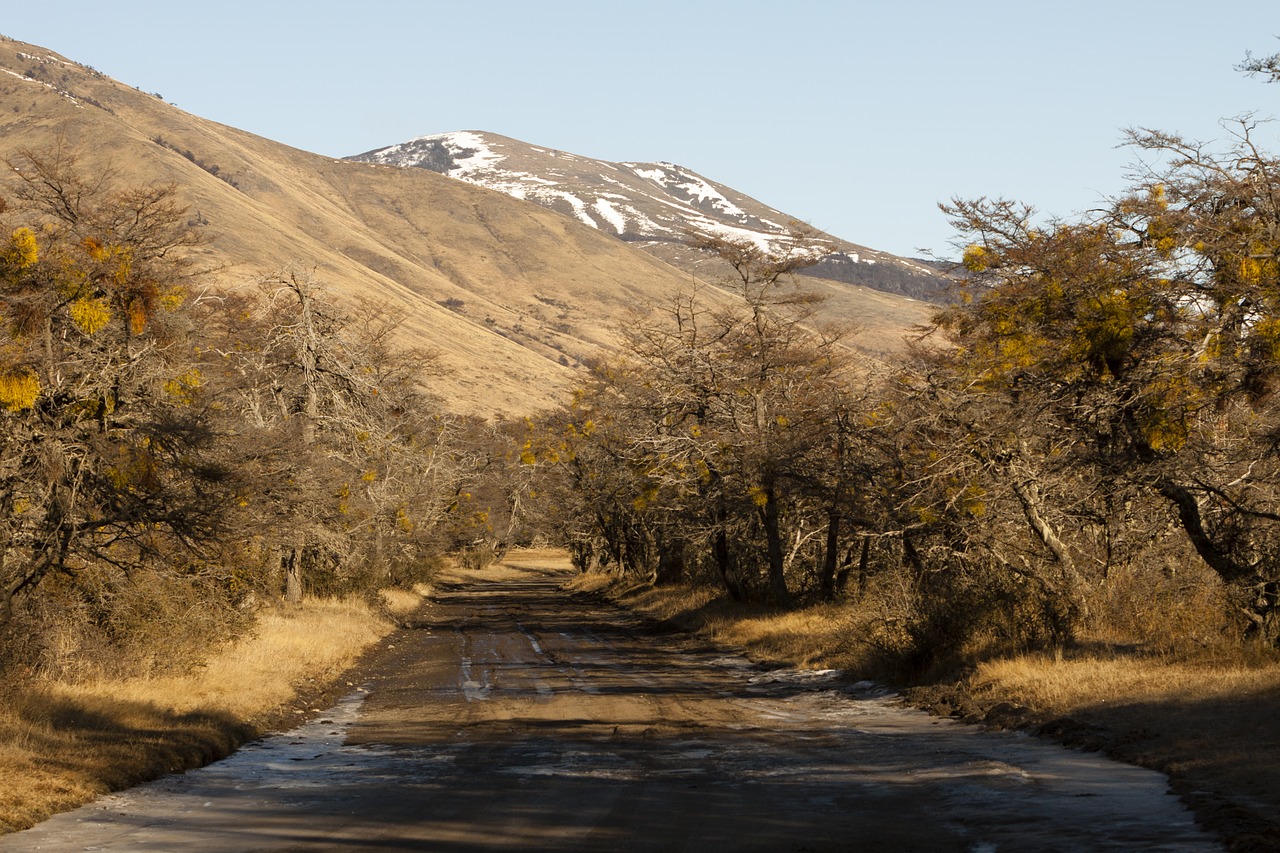 Image - argentina patagonia calafate