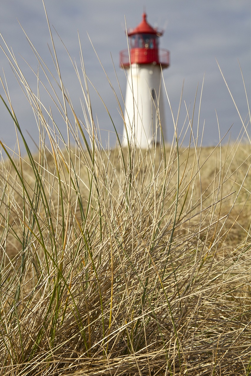 Image - sylt north sea island landscape