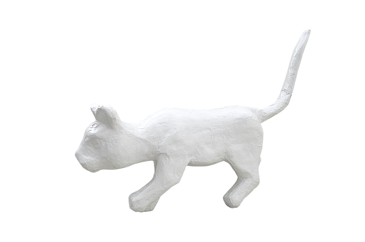 Image - png white cat cat plaster