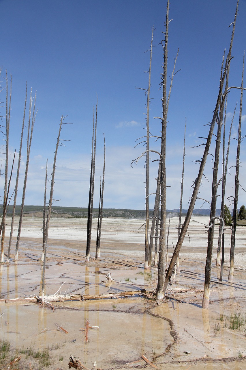 Image - yellowstone national park death